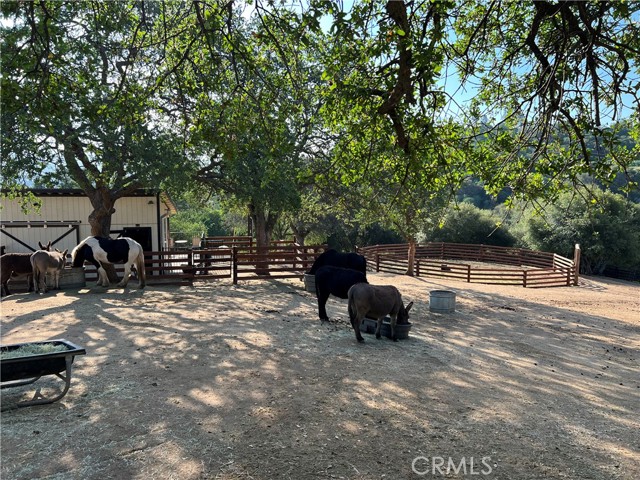 Detail Gallery Image 48 of 61 For 27513 Deer Creek Way, Keene,  CA 93531 - 4 Beds | 4/1 Baths
