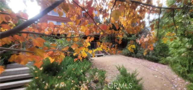 Detail Gallery Image 36 of 75 For 1317 Pinetree, Frazier Park,  CA 93225 - 3 Beds | 2 Baths