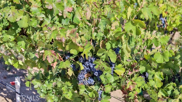 Detail Gallery Image 28 of 39 For 0 Valle Toscana Ct, Temecula,  CA 92592 - – Beds | – Baths