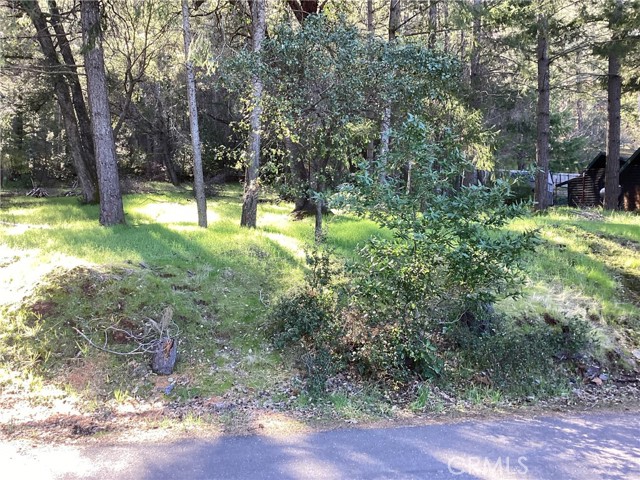 7980 SODA BAY Road, Kelseyville, Vermont 05451, ,Land,For Sale,7980 SODA BAY Road,CRLC23025574