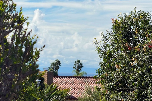 Detail Gallery Image 39 of 48 For 32641 Adriatic Dr, Dana Point,  CA 92629 - 3 Beds | 2 Baths