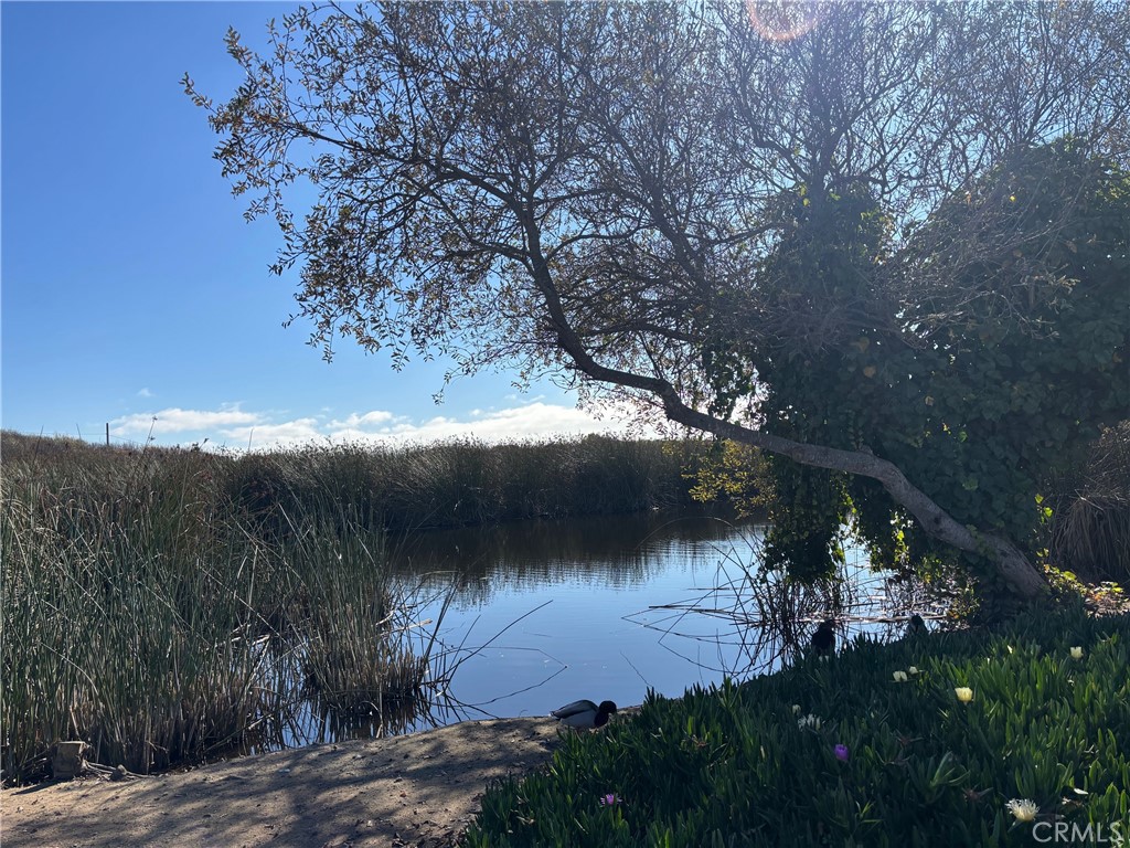 MLS #PI25267582 image #2