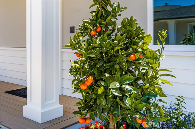 2134 Orange Avenue, Costa Mesa CA: https://media.crmls.org/medias/73eab86d-23c4-4f97-ade8-5cd129744917.jpg