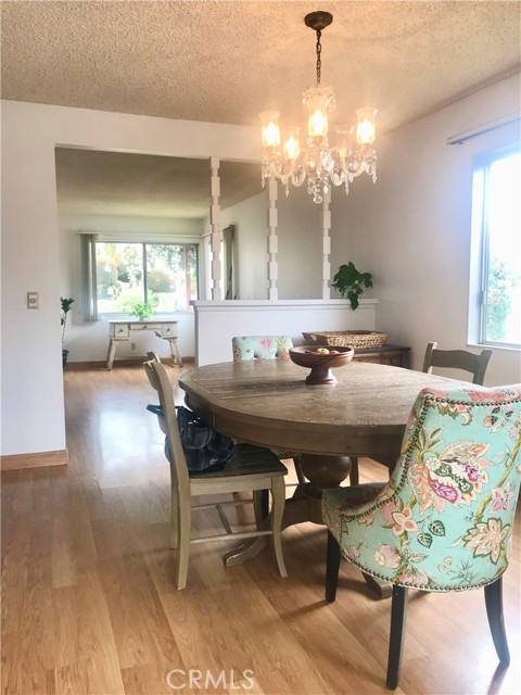 Living room leads to bright Dining room.