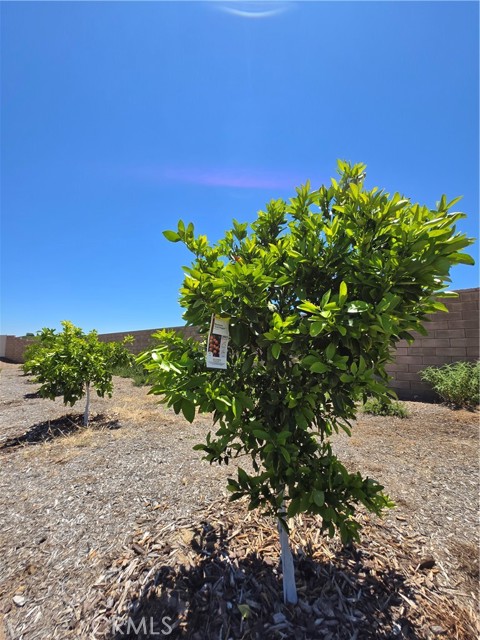 32195 Daybrook Terrace, Temecula CA: https://media.crmls.org/medias/73f82af3-7951-4dae-8f86-37ba47720764.jpg