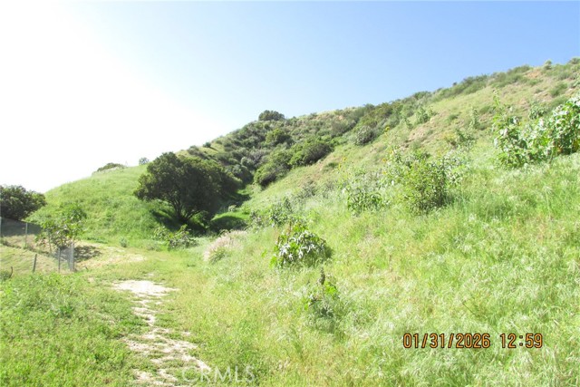 Detail Gallery Image 4 of 51 For 8001 Denivelle Rd., Sunland,  CA 91040 - – Beds | – Baths