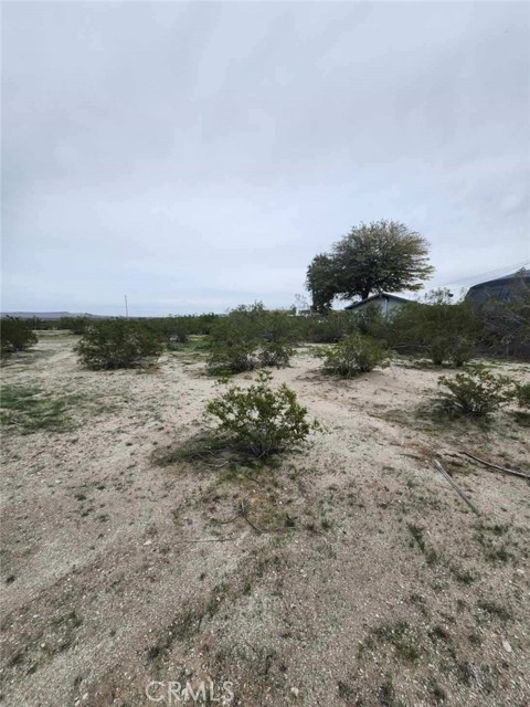 Detail Gallery Image 2 of 4 For 0 Double O Rd, Borrego Springs,  CA 92004 - – Beds | – Baths