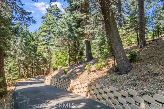 Detail Gallery Image 58 of 69 For 899 Blue Ridge, Lake Arrowhead,  CA 92385 - 3 Beds | 2 Baths