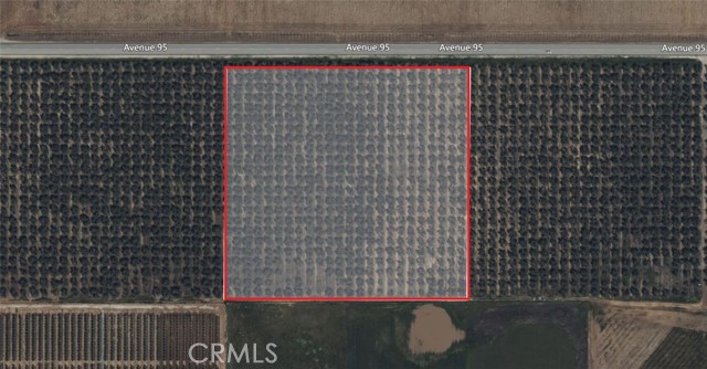 2 Terra Bella,  CA: https://media.crmls.org/medias/74143884-da47-4119-bc38-cbe6574f407a.jpg