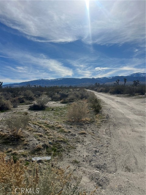 Detail Gallery Image 11 of 15 For 206 S Cor Ave X Largo Vista 2, Llano,  CA 93544 - – Beds | – Baths