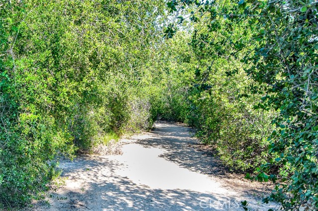 Detail Gallery Image 69 of 75 For 273 Montana Del Lago, Rancho Santa Margarita,  CA 92688 - 3 Beds | 2/1 Baths