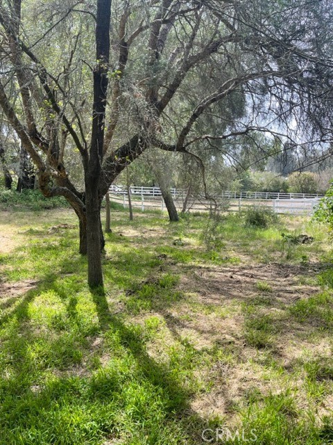 Land area in front of the House