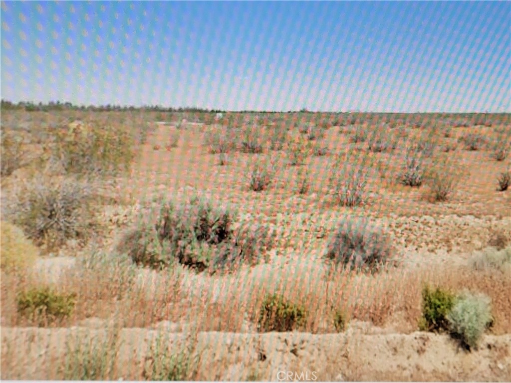 MLS #DW25042082 img 2