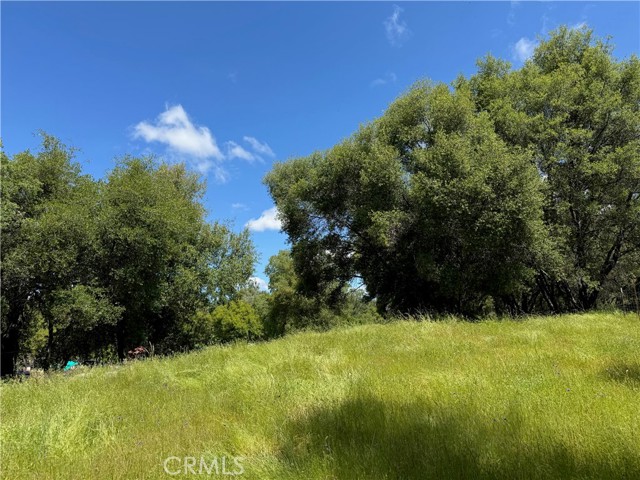 4516 Hirsch Road, Mariposa CA: https://media.crmls.org/medias/74259e0a-7ed2-4eeb-8d27-2b450ba3a4f8.jpg