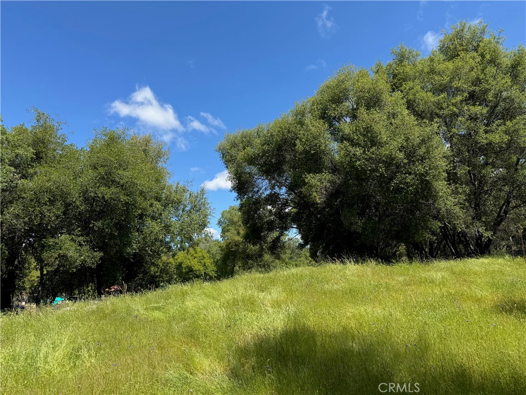 MLS #FR25091323 image #5