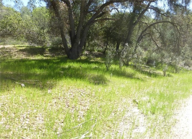 Detail Gallery Image 14 of 37 For 0 0 Vineyard Canyon Parcel 29, San Miguel,  CA 93451 - – Beds | – Baths