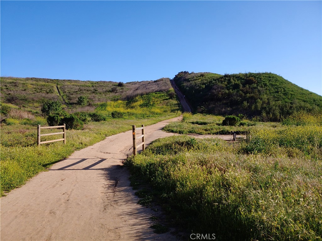 https://media.crmls.org/medias/7433e8d3-1140-4e68-b2ce-d46aea668978.jpg?preset=X-Large