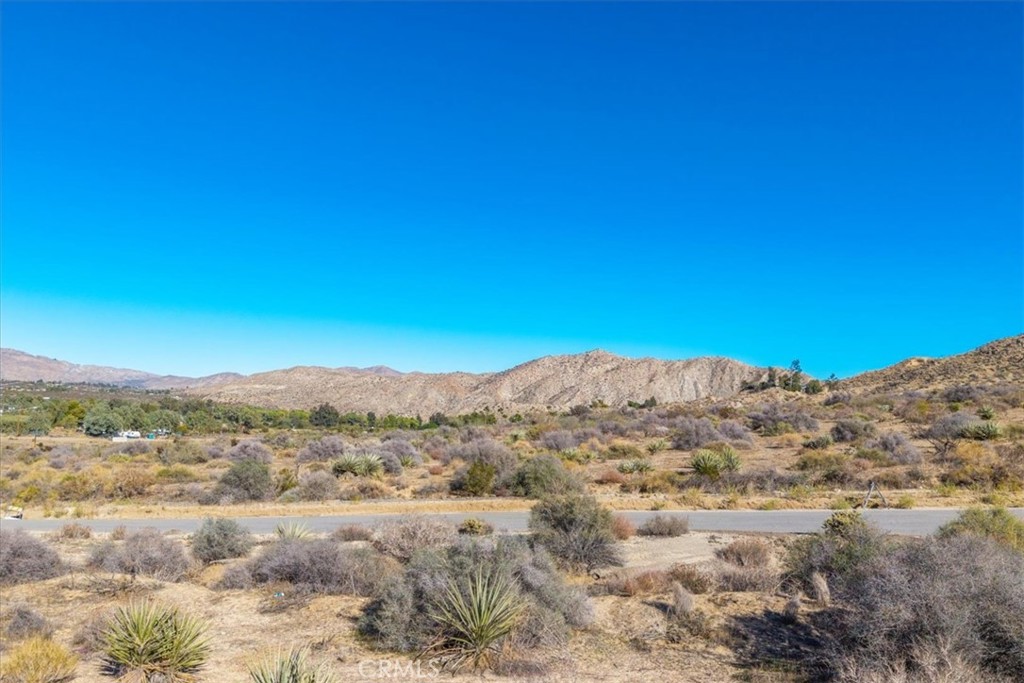 MLS #JT25260139 image #10