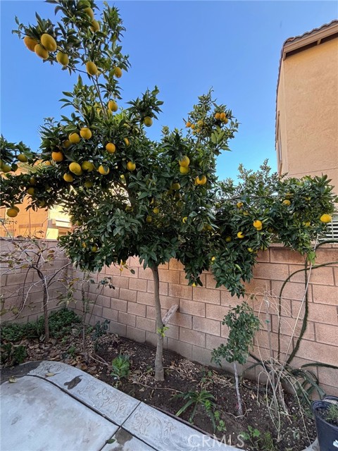 Detail Gallery Image 15 of 16 For 4863 S Bountiful Trl, Ontario,  CA 91762 - 6 Beds | 4 Baths