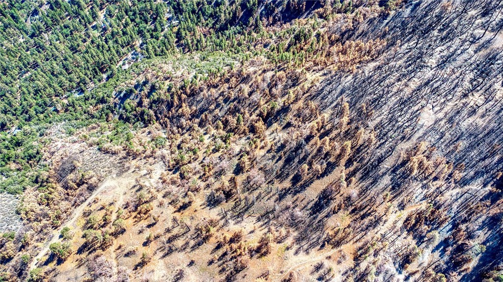 MLS #HD25219031 image #12