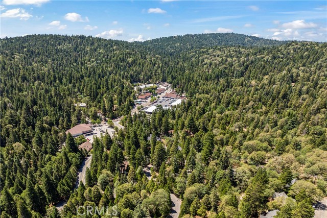 Detail Gallery Image 54 of 55 For 27312 Little Bear Rd, Lake Arrowhead,  CA 92391 - 4 Beds | 4/1 Baths