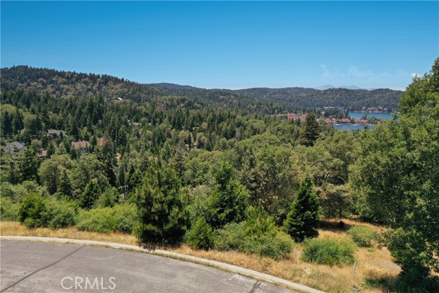 Detail Gallery Image 3 of 11 For 137 Mill Pond Rd, Lake Arrowhead,  CA 92352 - – Beds | – Baths