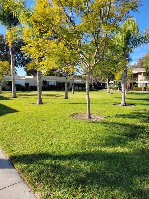 Image 3 for 695 Avenida Sevilla #A, Laguna Woods, CA 92637