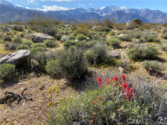 Detail Gallery Image 53 of 61 For 330 Sage Flats Dr, Olancha,  CA 93549 - 3 Beds | 2 Baths
