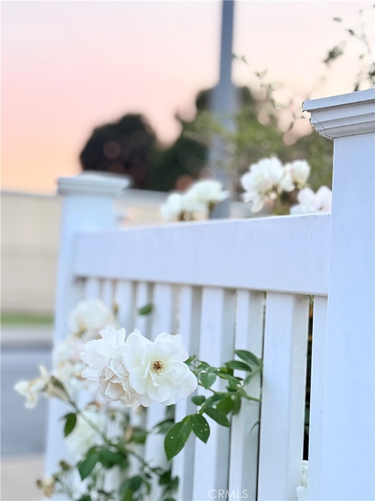 https://media.crmls.org/medias/744d30f8-8c73-4277-8db9-49c8de06a17d.jpg?preset=X-Large