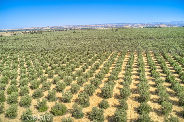 16 Rocky Drive, Oroville CA: https://media.crmls.org/medias/745011d9-517f-44ba-afd3-59b88b5cd285.jpg