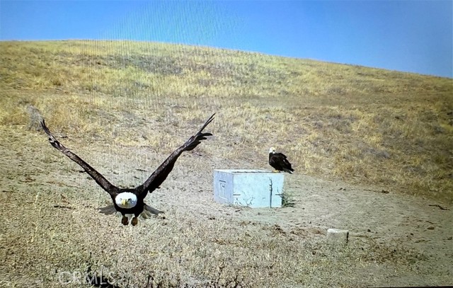 77599 Lowes Canyon Road, San Miguel CA: https://media.crmls.org/medias/7452d08e-3dc4-4e6b-8a8b-1a7a1e7e1951.jpg