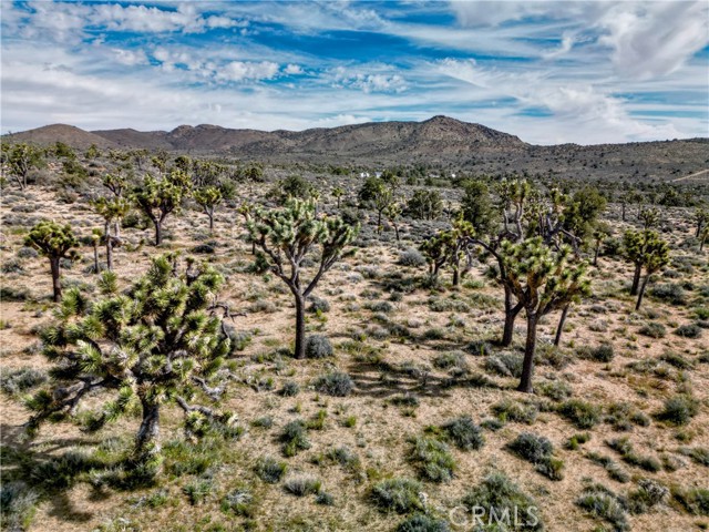 Detail Gallery Image 11 of 32 For 26 Vista Rd, Pioneertown,  CA 92356 - – Beds | – Baths