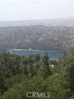 MLS #SW25033105 image #4