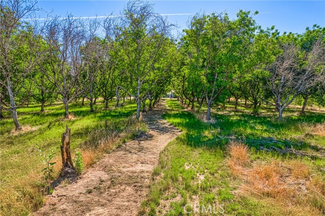 Detail Gallery Image 57 of 69 For 10905 Elk Mountain Rd, Upper Lake,  CA 95485 - 3 Beds | 2 Baths