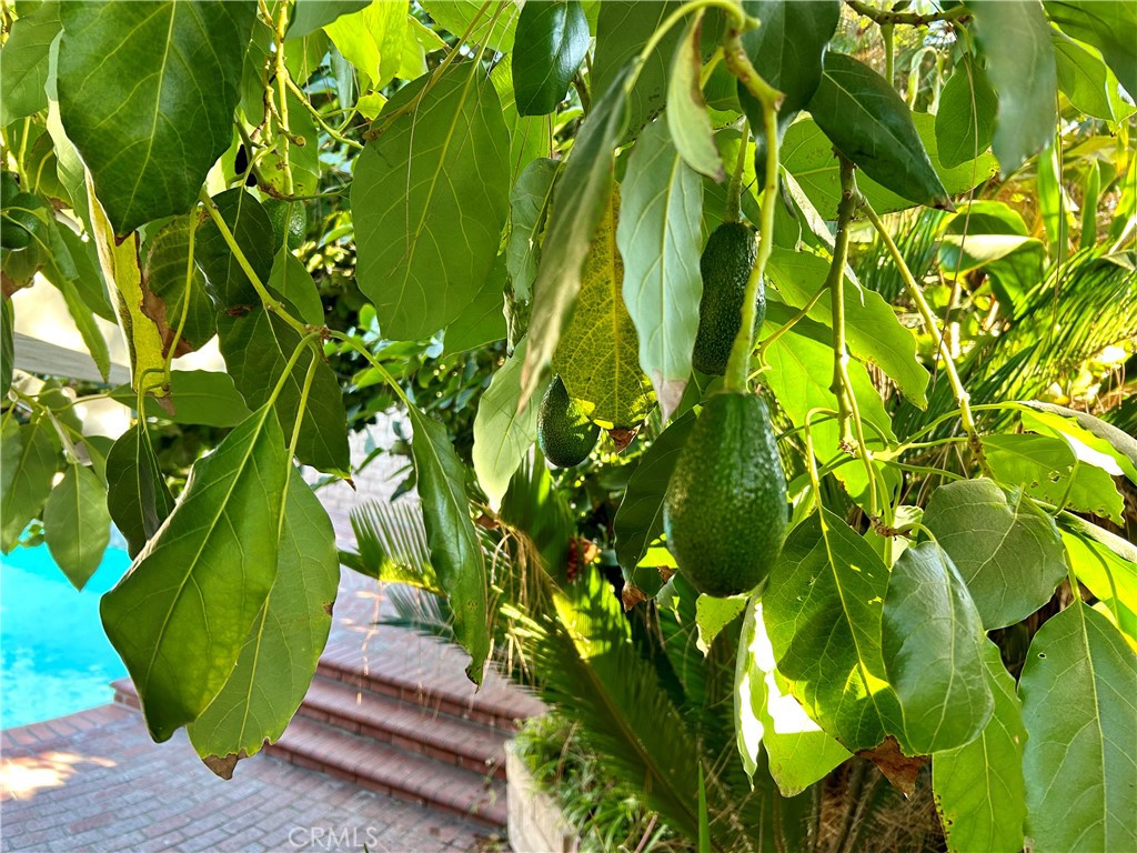 MLS #SR25274269 image #23