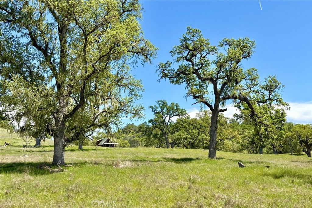 https://media.crmls.org/medias/7463c270-bfd5-4e94-b6d4-90047d50e595.jpg?preset=X-Large