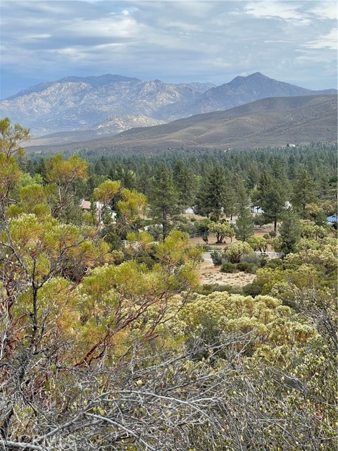 2 Goldshot Creek Road, Mountain Center, California 92561, ,Land,For Sale,2 Goldshot Creek Road,CRSW22171999