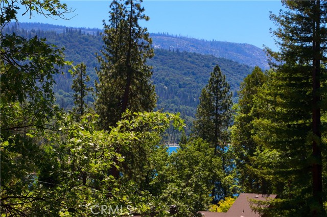 Detail Gallery Image 52 of 57 For 39266 Lupine, Bass Lake,  CA 93604 - 4 Beds | 2/2 Baths