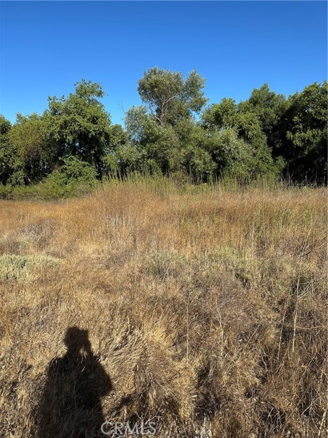 0 Mazoe Street, Temecula CA: https://media.crmls.org/medias/746d6ba7-a15e-43d7-b74e-a66265aa8a8c.jpg