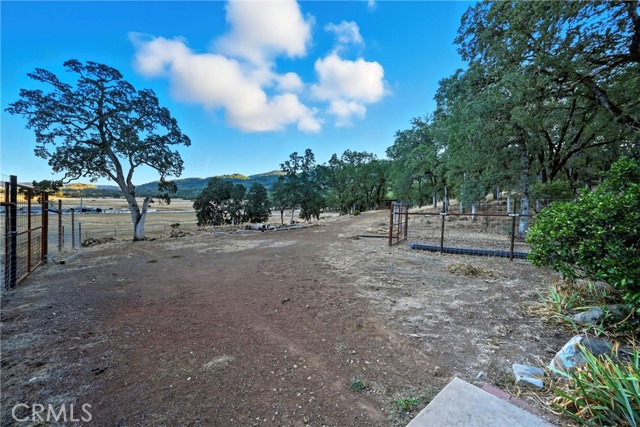 Image 29 of 42 For 17205 Black Oak Hill