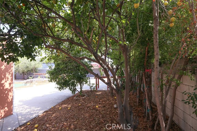 801 S Michillinda Avenue, Pasadena CA: https://media.crmls.org/medias/747a0c22-2495-429d-bfb3-a0bb375d2b9d.jpg