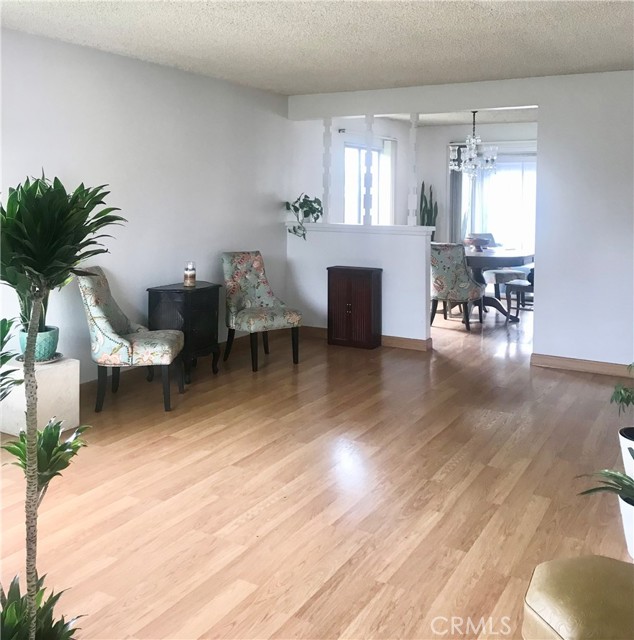 Spacius Living Room with laminate flooring.
