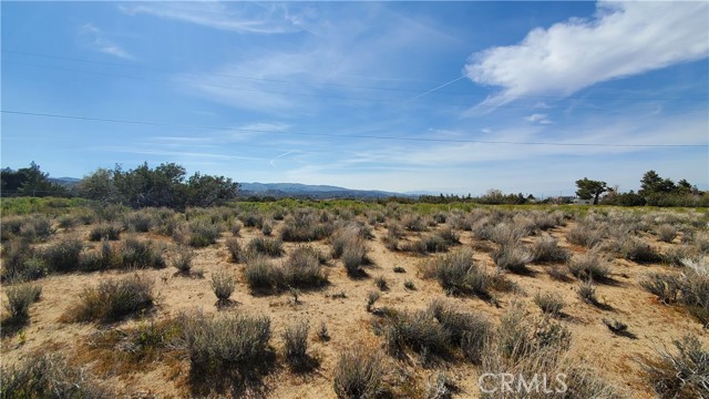 Detail Gallery Image 7 of 31 For 0 123rd St East Near Ave X8, –,  CA 93553 - – Beds | – Baths