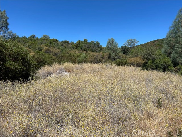 8860 Highway 29, Lower Lake CA: https://media.crmls.org/medias/7486092d-e423-41a4-ac9b-43f8c0a8cd81.jpg