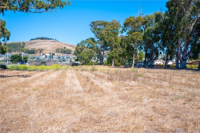 Detail Gallery Image 20 of 39 For 2783 Coral Ave, Morro Bay,  CA 93442 - – Beds | – Baths