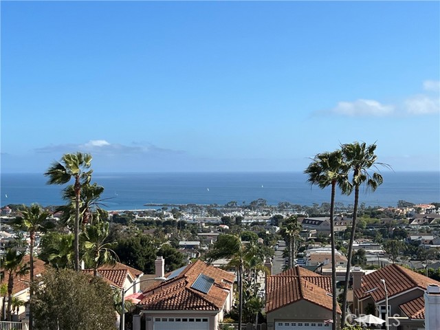 24896 Sea Crest Drive, Dana Point, CA 92629 Listing Photo  3