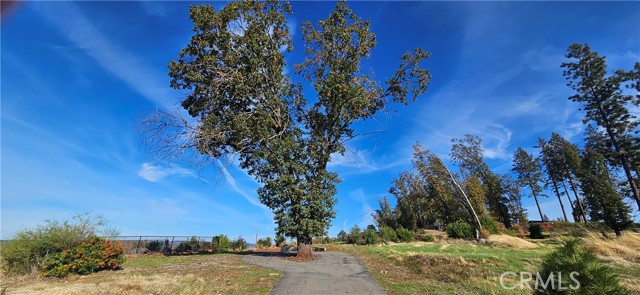 Front Image Thumbnail for CRSN25250737