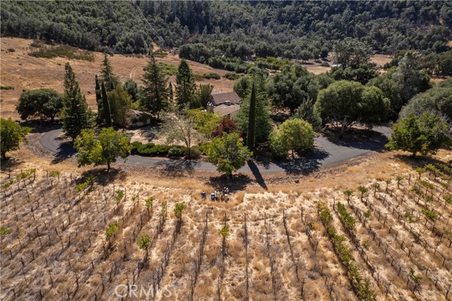 Detail Gallery Image 58 of 58 For 5395 Konocti Rd, Kelseyville,  CA 95451 - 3 Beds | 3 Baths