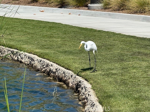 Detail Gallery Image 59 of 72 For 246 Sunstone Place, Rancho Mission Viejo,  CA 92694 - 1 Beds | 1/1 Baths