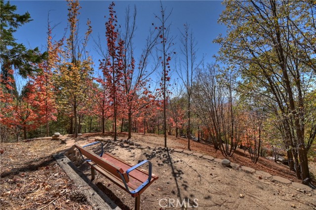 Detail Gallery Image 53 of 75 For 22 Holly Dr, Running Springs,  CA 92382 - 3 Beds | 2/1 Baths